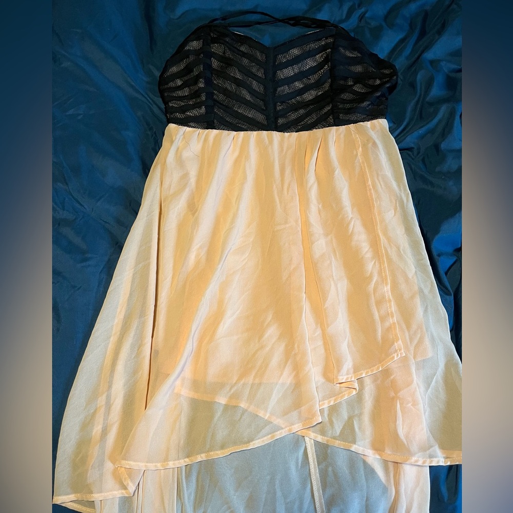 Jealous Tomato Cream & Black Dress